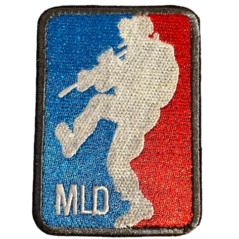 Air Force and Navy Patch