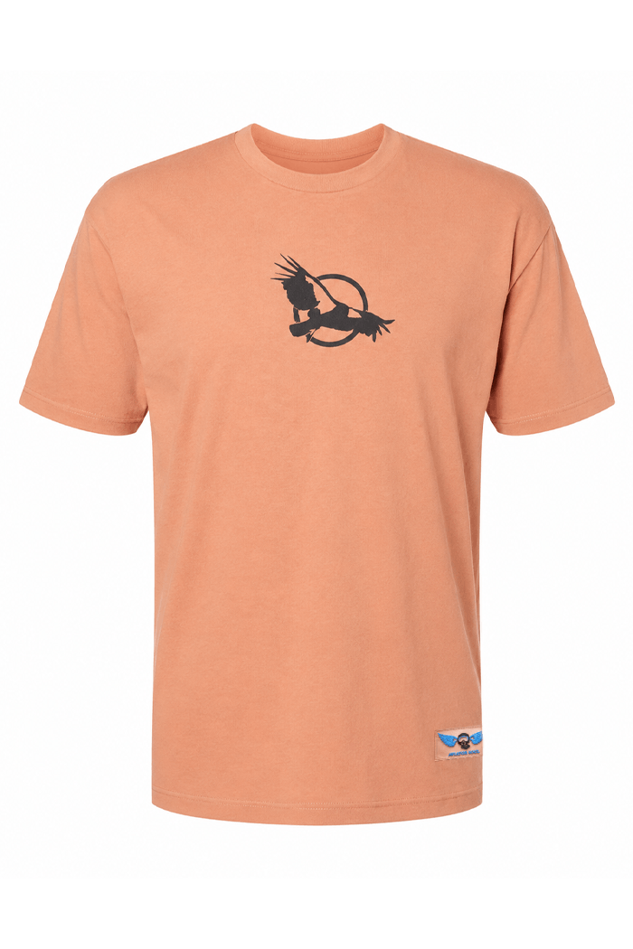 camiseta condor terracota
